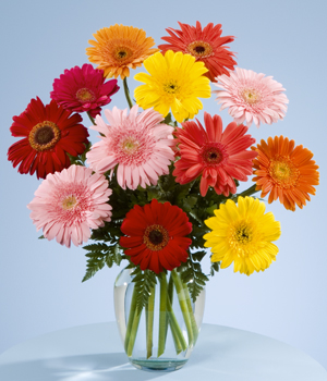 Envio y venta de flores ,rosas, plantas,arreglos florales ,regalos y desayunos a domicilio con delivery gratis en la Ciudad Autonoma de Buenos Aires y con costo de env�o en localidades del Gran Buenos Aires asi como delivery de flores y plantas a trav�s de florerias asociadas en todas las provincias de la Argentina, Buenos Aires, la Pampa, Tucuman, La Rioja, R�o Negro, Entre Rios, Corrientes, Misiones, Neuquen, Chubut, Tierra del Fuego, Santa Cruz, San Luis, Mendoza, Cordoba, Jujuy, Formosa, Santiago del Estero, Salta, Chaco, Catamarca ,San Juan, y ademas realizamos el delivery de flores ,coronas,palmas , plantas y regalos a todas las ciudades de Argentina, Mar del Plata, C�rdoba, Buenos Aires, con cargo en Santa Rosa, La Plata, Bella Vista, Neuquen, Pilar, Paran�, Posadas, Resistencia, Cipolleti y mas de 300 ciudades y localidades en todo el territorio de nuestro pa�s, asi como tambien tenemos la posibilidad de enviar flores a casi todo el mundo en cuestion de horas